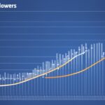 analisi dei follower Facebook